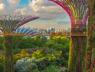 Your Ultimate Guide to Gardens by the Bay - A Nature Lover's Wonderland