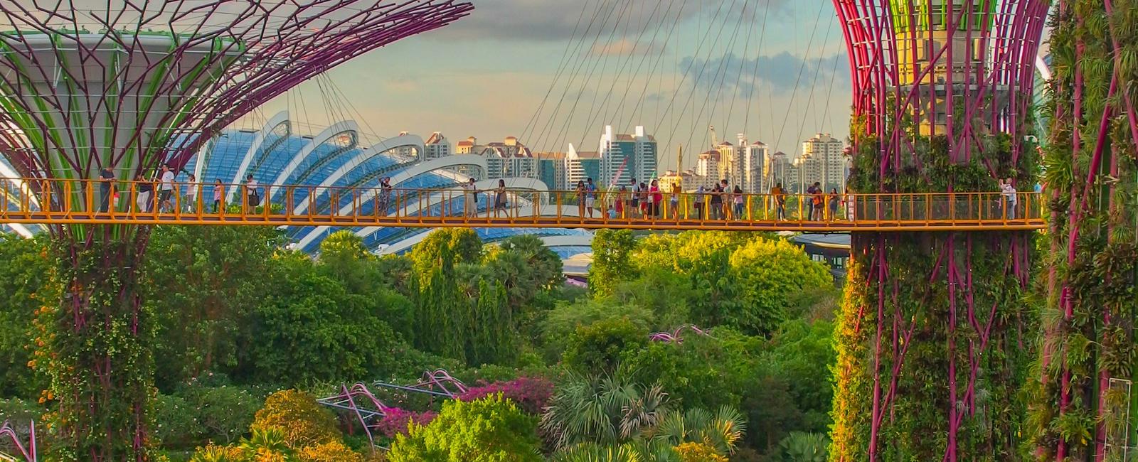 Your Ultimate Guide to Gardens by the Bay - A Nature Lover's Wonderland