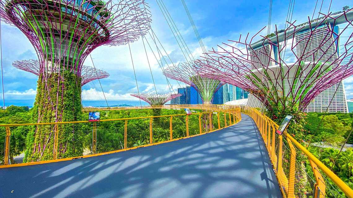 ocbc-skyway