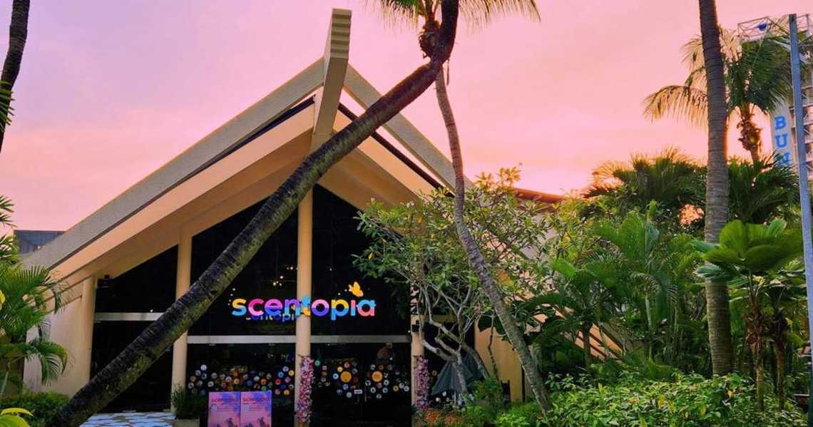 Scentopia-Sentosa